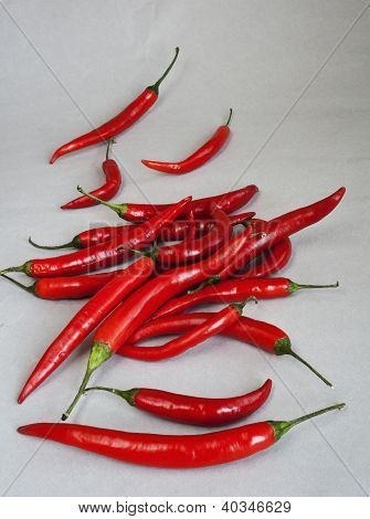 พริกแดงพริก