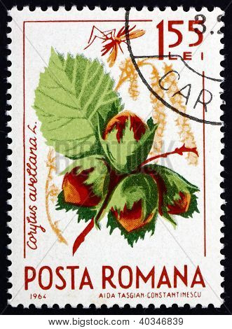 Frimærke Rumænien 1964 fælles hassel, Corylus Avelana