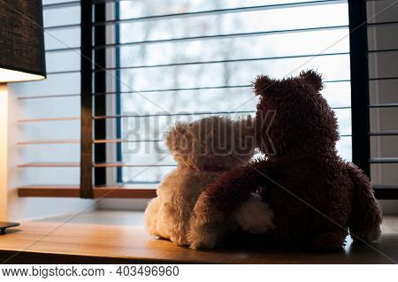 Couple Embracing Loving Teddy Bears Toys Looking At Winter View Sitting Together On Wooden Window-si