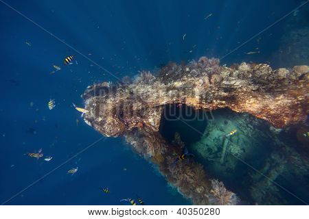 Shoot subacquea del relitto USAT libertà. Tulamben, isola di Bali, Indonesia