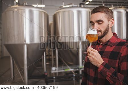 Attractive Male Brewer Smelling Aromatic Freshly Brewed Beer At Microbrewery, Copy Space