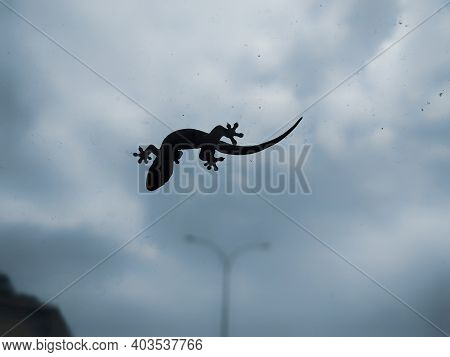 the silhouette of a lizard in front of the windshield
