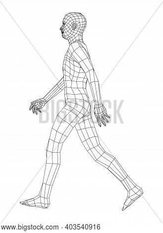 Wireframe Walking Man. Vector 3d Rendering. Man In Walking Pose