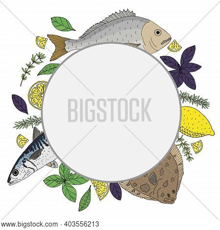 Circle Frame With Seafood, Fish Dish. Hand Drawn Of Dorado, Mackerel, Turbot, Lemon, Basil, Rosemary
