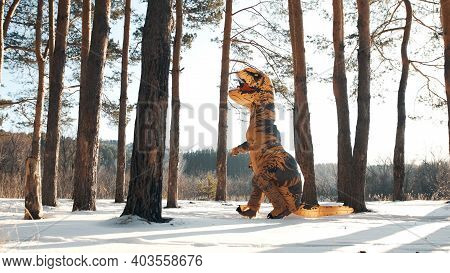 Dinosaur Tirex Runs In Winter Through The Forest On A Sunny Day