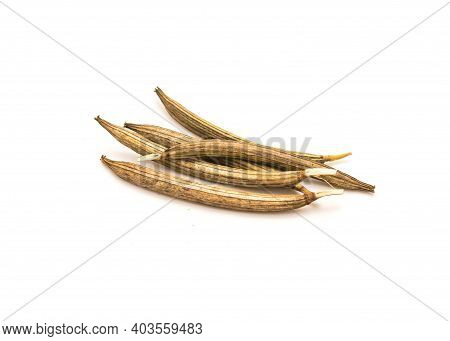 Five Molokhia Or Egyptian Spinach Dried Seed Pods Isolated On White Studio Shot