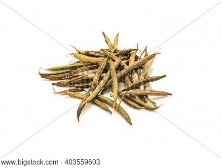 Group Of Molokhia Or Egyptian Spinach Dried Seed Pods Isolated On White Studio Shot