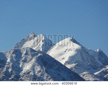 Bernina