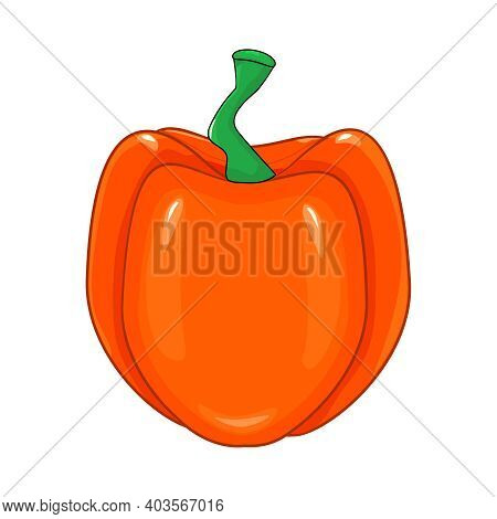 Paprika Isolated On White Background. Hungarian Fresh Orange Pepper Vegetable, Healthy Food, Spice. 
