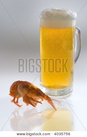 Cerveza con cigalas