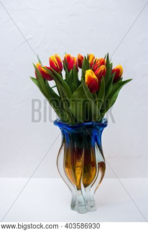 Beautiful Tseti Tulips On A Light Background