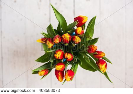Beautiful Tseti Tulips On A Light Background