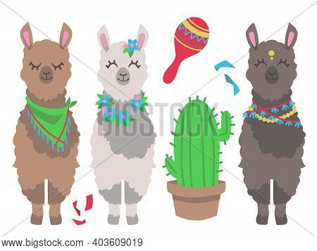 Cute Colorful Cartoon Llama Or Alpaca With Cactus And Mexican Rumba Shaker Graphic Design Vector Ill