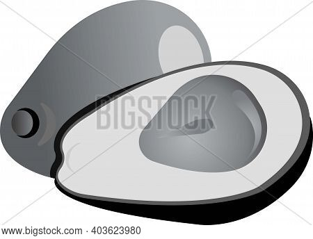 Green Avacado. Vector Illustration Isolated On White Background.