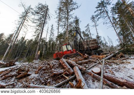 The Work Of Heavy Logging Equipment In The Winter Taih. A Forwarder, Loaded With Sawed Wood, Descend