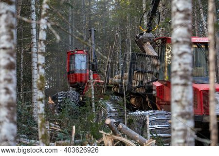 The Work Of Heavy Logging Equipment In The Winter Taih. A Forwarder, Loaded With Sawed Wood, Descend