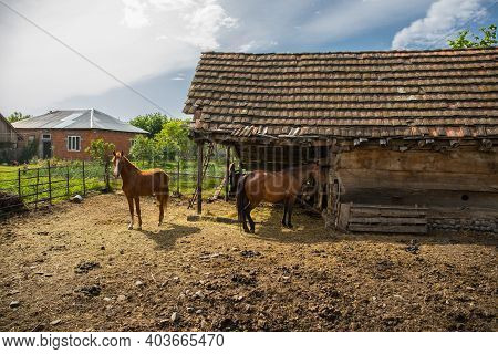 Picture Of Beautiful Village House With Garden. Azerbaijan Village In Summer Time