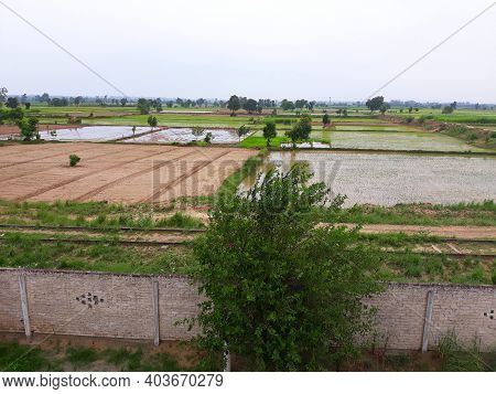 Beautiful Landscapes Of Village And Vast Fields In Narowal, Pakistan. Cloudy Weather. Summertime. Ve
