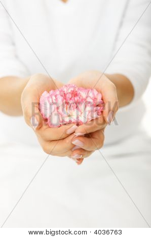 Smuk kvinde hænder med Pink levkøj