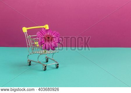 Gerbera Flower In Small Shopping Trolley On Double Pink Mint Background. Flower Delivery Concept. Sa
