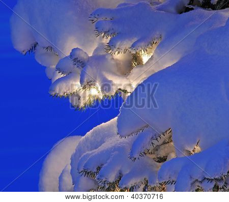 Encendidos de luces de Navidad en el árbol de la nieve