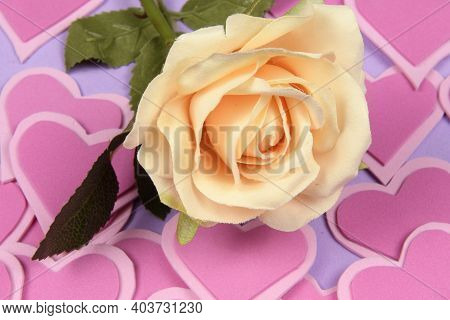 Yellow Rose Flower Over Hearts Shapes Graphycs
