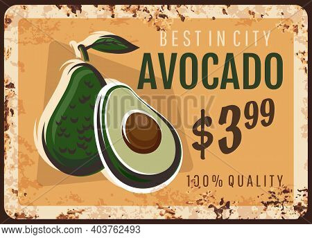 Avocado Metal Plate Rusty, Fruits And Vegetables Food Farm Market Price Sign, Vector Retro Poster. A