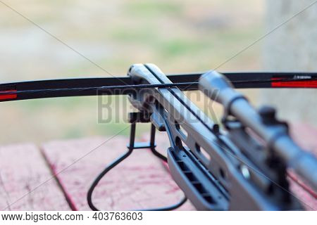 The Optical Sight Of A Modern Crossbow. A Crossbow With Arrows For Hunting Lies On The Table