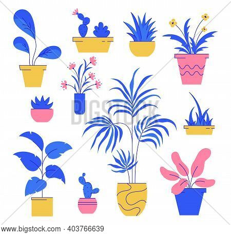 Houseplant Set. Collection Of Potted Plants Isolated White Background. Vector Illustration.