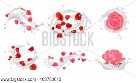 Cream Splashes. Realistic Roses, Petals And White Liquids, Care Cosmetics Vector Illustration. Beaut