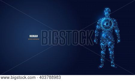 Digital 3d Human Body Image Consisting Of Gears And Cogs In Dark Blue. Human Body Function, Medicine
