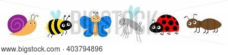 Ant, Mosquito, Butterfly, Snail Cochlea, Bee Bumblebee, Lady Bug Ladybird Insect Icon Set. Ladybug. 