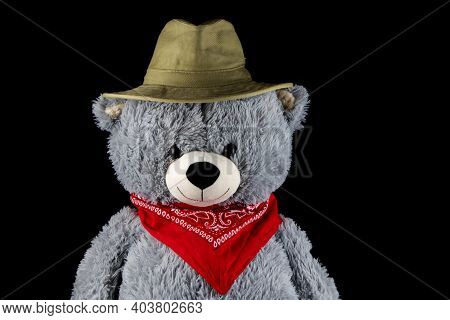 Teddy Bear With Red Bandana And Bush Hat