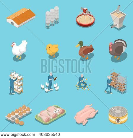 Poultry Farm Isometric Icons Set Of Equipment For Feeding Hen Duck Turkey Trays With Chicken Legs An