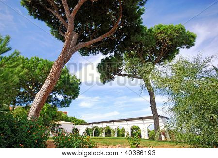 ไพน์และเส้นโค้ง