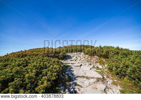 Hiking Trail To Babia Gora Mountain In Beskid Sadecki In Poland, On A Sunny Summer Day, Under Blue S