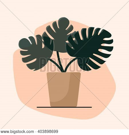 Trendy Composition Monstera Plant In Pot For Home Decor, Greeting Card Designs, Invitation, Flyers, 