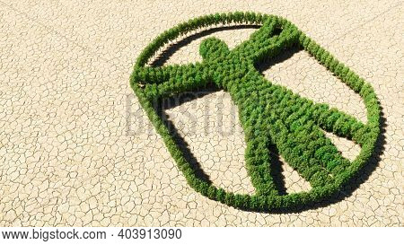 Concept or conceptual group of green forest tree on dry ground background, sign of  vitruvius man. A 3d illustration metaphor for architecture, renaissance, anthropology and physiology
