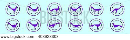 Set Of Roadrunner Cartoon Icon Design Template With Various Models. Modern Vector Illustration Isola