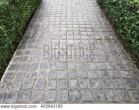 Stamp Concrete Black Color Hardener Printing Patterns On The Cement Or Mortar Surface Block Shape Sq