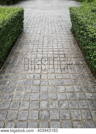 Stamp Concrete Black Color Hardener Printing Patterns On The Cement Or Mortar Surface Block Shape Sq