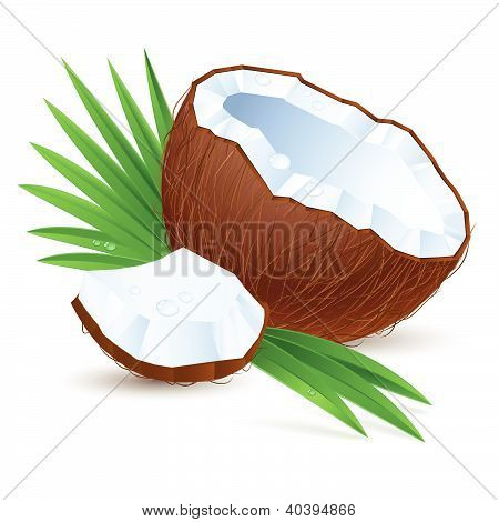 Una mezza noce di cocco