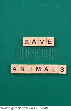 Wildlife Conservation Slogan. Save Animals Concept. Wooden Cubes With Letters Isolated On Green Back