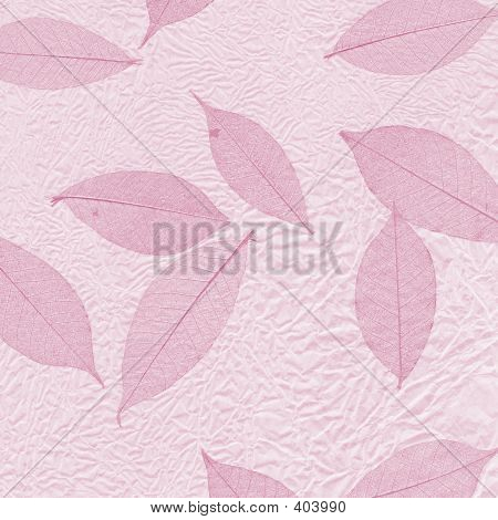 Blad Design i Pink