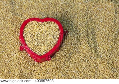 View Of Foxtail Millet (also Known As Italian Millet) Which Is A Healthy Food For Heart. Food Health