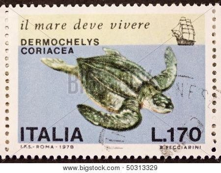 ITALY - CIRCA 1978: a stamp printed in Italy shows image of Leatherback sea turtle (Dermochelys coriacea) the largest living turtle. Italy, circa 1978