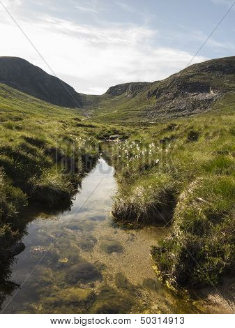 Trassey River And Hares Gap In The Mourne Mountains
