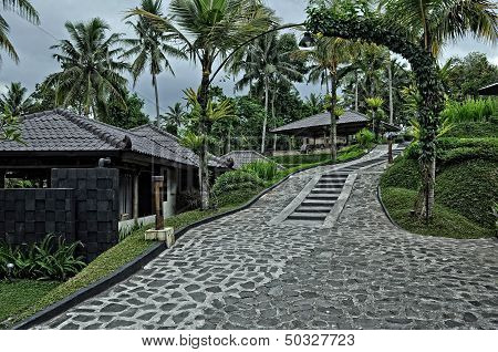 Stotne Path to a Cottage