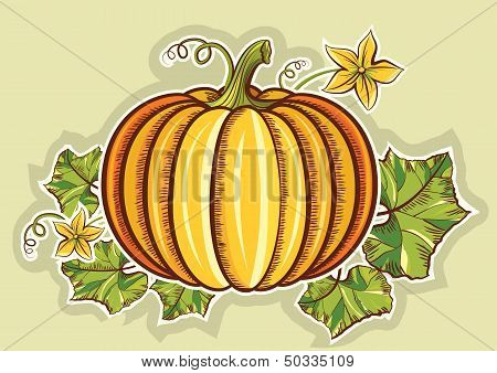 Pumpkin Yellow Fresh Illustration Isolated For Design