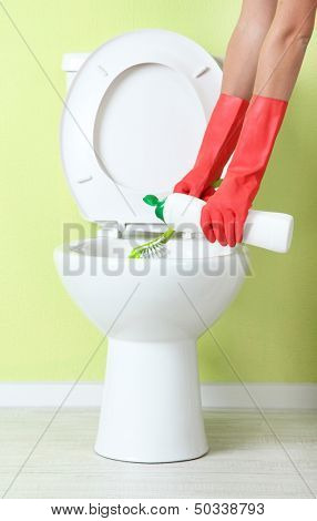 Woman hand with spray bottle cleaning a toilet bowl in a bathroom